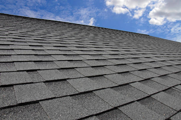 Best Gutter Installation and Repair  in Hays, MT